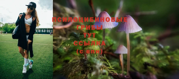 PSILOCYBIN Рославль
