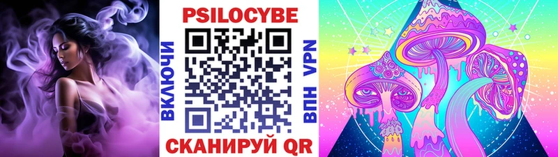 блэк спрут зеркало Ленинск-Кузнецкий Псилоцибиновые грибы Psilocybe